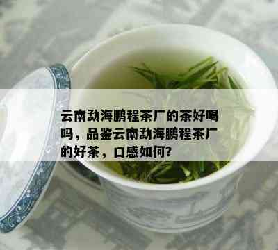 云南勐海鹏程茶厂的茶好喝吗，品鉴云南勐海鹏程茶厂的好茶，口感如何？