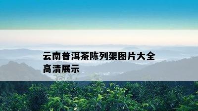 云南普洱茶陈列架图片大全高清展示