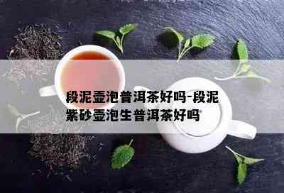 段泥壶泡普洱茶好吗-段泥紫砂壶泡生普洱茶好吗