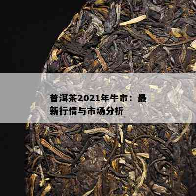 普洱茶2021年牛市：最新行情与市场分析