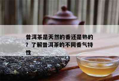 普洱茶是天然的香还是熟的？熟悉普洱茶的不同香气特性