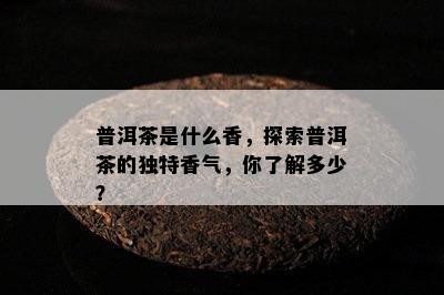 普洱茶是什么香，探索普洱茶的特别香气，你熟悉多少？