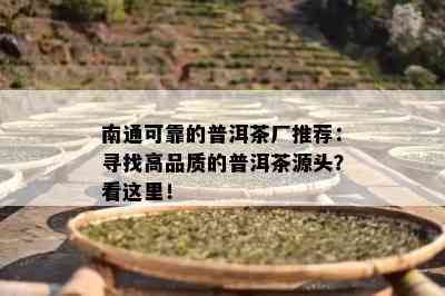 南通可靠的普洱茶厂推荐：寻找高品质的普洱茶源头？看这里！