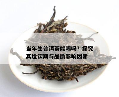 当年生普洱茶能喝吗？探究其适饮期与品质作用因素