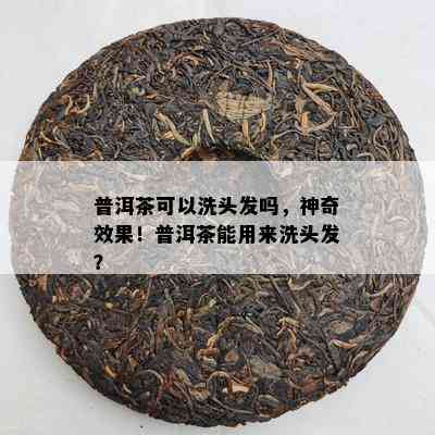 普洱茶可以洗头发吗，神奇效果！普洱茶能用来洗头发？