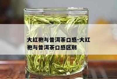 大红袍与普洱茶口感-大红袍与普洱茶口感区别