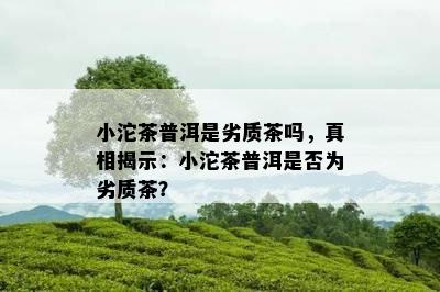 小沱茶普洱是劣质茶吗，真相揭示：小沱茶普洱是否为劣质茶？