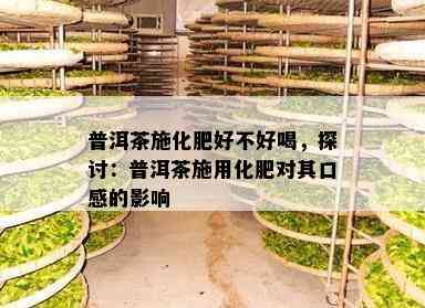 普洱茶施化肥好不好喝，探讨：普洱茶施用化肥对其口感的影响