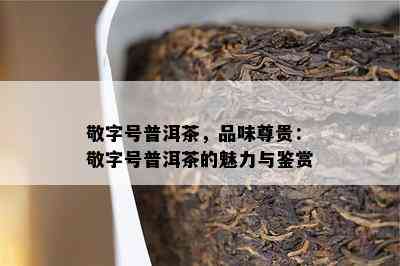 敬字号普洱茶，品味尊贵：敬字号普洱茶的魅力与鉴赏