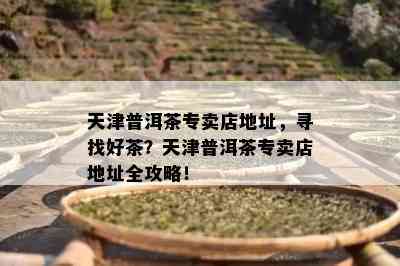 天津普洱茶专卖店地址，寻找好茶？天津普洱茶专卖店地址全攻略！