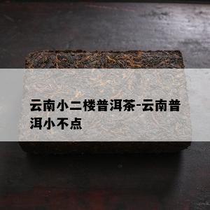 云南小二楼普洱茶-云南普洱小不点