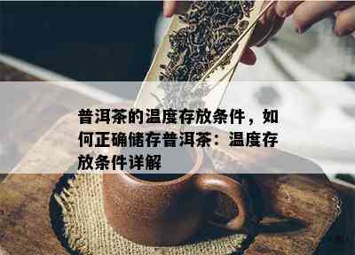 普洱茶的温度存放条件，怎样正确储存普洱茶：温度存放条件详解