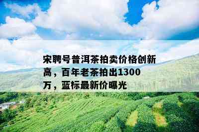 宋聘号普洱茶拍卖价格创新高，百年老茶拍出1300万，蓝标最新价曝光