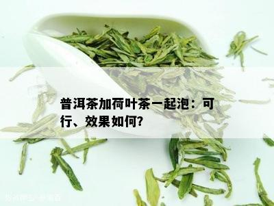 普洱茶加荷叶茶一起泡：可行、效果如何？