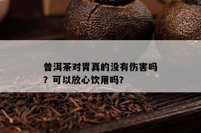 普洱茶对胃真的不存在伤害吗？可以放心饮用吗？