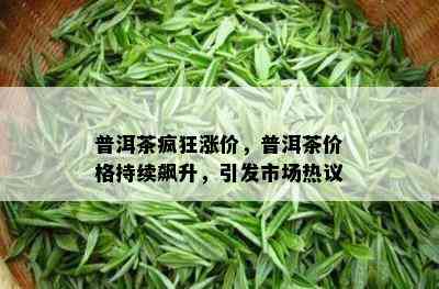 普洱茶疯狂涨价，普洱茶价格持续飙升，引发市场热议