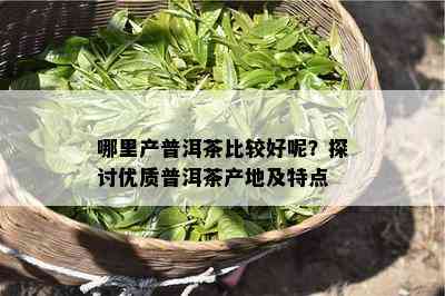 哪里产普洱茶比较好呢？探讨优质普洱茶产地及特点