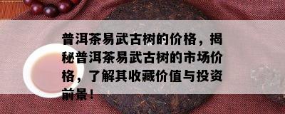 普洱茶易武古树的价格，揭秘普洱茶易武古树的市场价格，熟悉其收藏价值与投资前景！