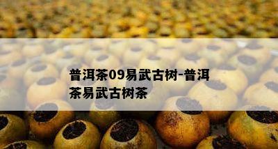 普洱茶09易武古树-普洱茶易武古树茶