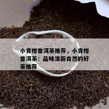 小青柑普洱茶推荐，小青柑普洱茶：品味清新自然的好茶推荐