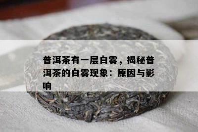 普洱茶有一层白雾，揭秘普洱茶的白雾现象：原因与影响