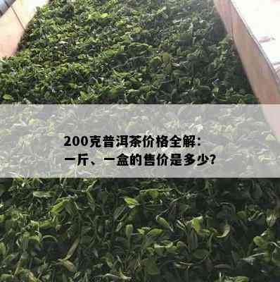 200克普洱茶价格全解：一斤、一盒的售价是多少？