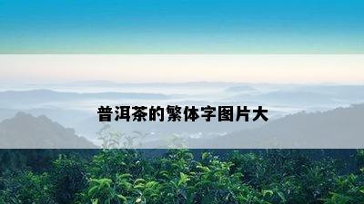 普洱茶的繁体字图片大