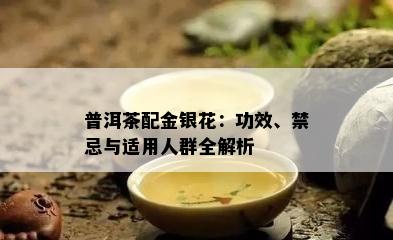 普洱茶配金银花：功效、禁忌与适用人群全解析