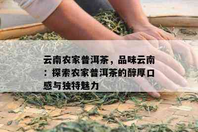 云南农家普洱茶，品味云南：探索农家普洱茶的醇厚口感与独特魅力