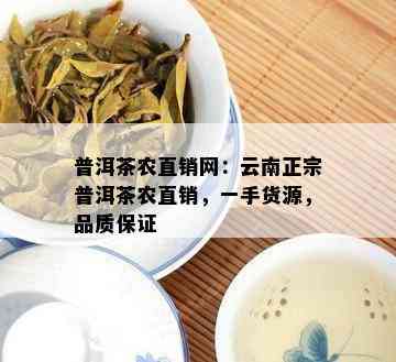 普洱茶农直销网：云南正宗普洱茶农直销，一手货源，品质保证