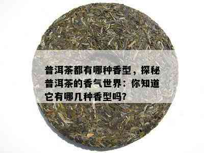 普洱茶都有哪种香型，探秘普洱茶的香气世界：你知道它有哪几种香型吗？