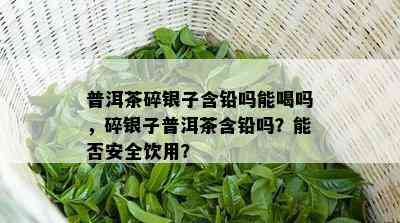 普洱茶碎银子含铅吗能喝吗，碎银子普洱茶含铅吗？能否安全饮用？