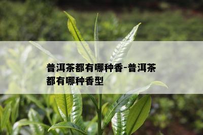 普洱茶都有哪种香-普洱茶都有哪种香型