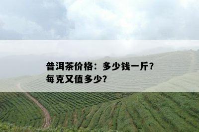 普洱茶价格：多少钱一斤？每克又值多少？