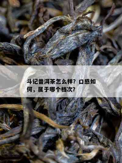 斗记普洱茶怎么样？口感怎样，属于哪个档次？