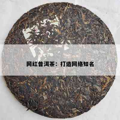 网红普洱茶：打造网络知名