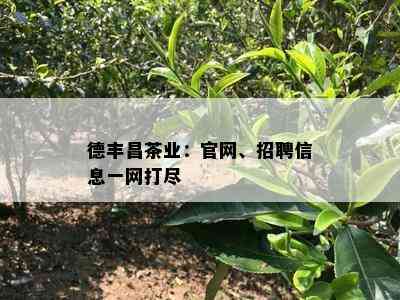 德丰昌茶业：官网、招聘信息一网打尽