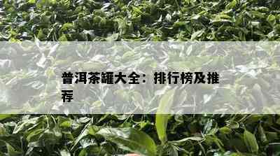 普洱茶罐大全：排行榜及推荐