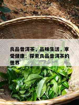 良品普洱茶，品味生活，享受健康：探索良品普洱茶的世界