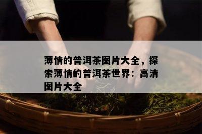 薄情的普洱茶图片大全，探索薄情的普洱茶世界：高清图片大全