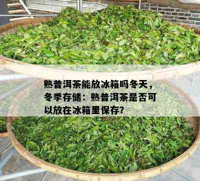 熟普洱茶能放冰箱吗冬天，冬季存储：熟普洱茶是不是可以放在冰箱里保存？