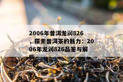 2006年普洱龙润826，探索普洱茶的魅力：2006年龙润826品鉴与解析