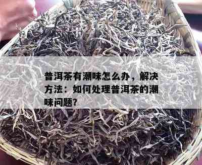 普洱茶有潮味怎么办，解决方法：怎样解决普洱茶的潮味疑问？