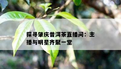 探寻肇庆普洱茶直播间：主播与明星齐聚一堂