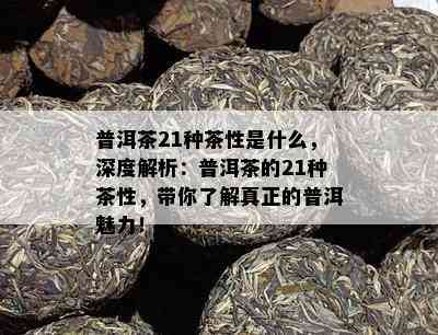 普洱茶21种茶性是什么，深度解析：普洱茶的21种茶性，带你熟悉真正的普洱魅力！