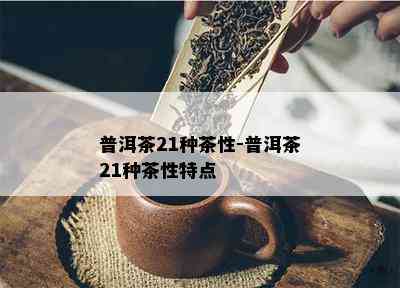 普洱茶21种茶性-普洱茶21种茶性特点