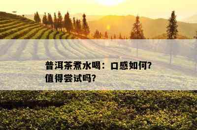 普洱茶煮水喝：口感怎样？值得尝试吗？