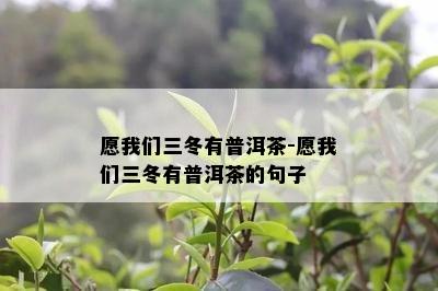 愿咱们三冬有普洱茶-愿咱们三冬有普洱茶的句子