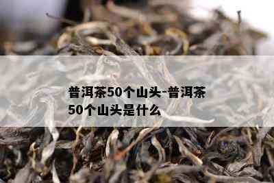 普洱茶50个山头-普洱茶50个山头是什么