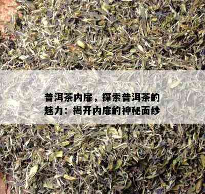 普洱茶内扉，探索普洱茶的魅力：揭开内扉的神秘面纱